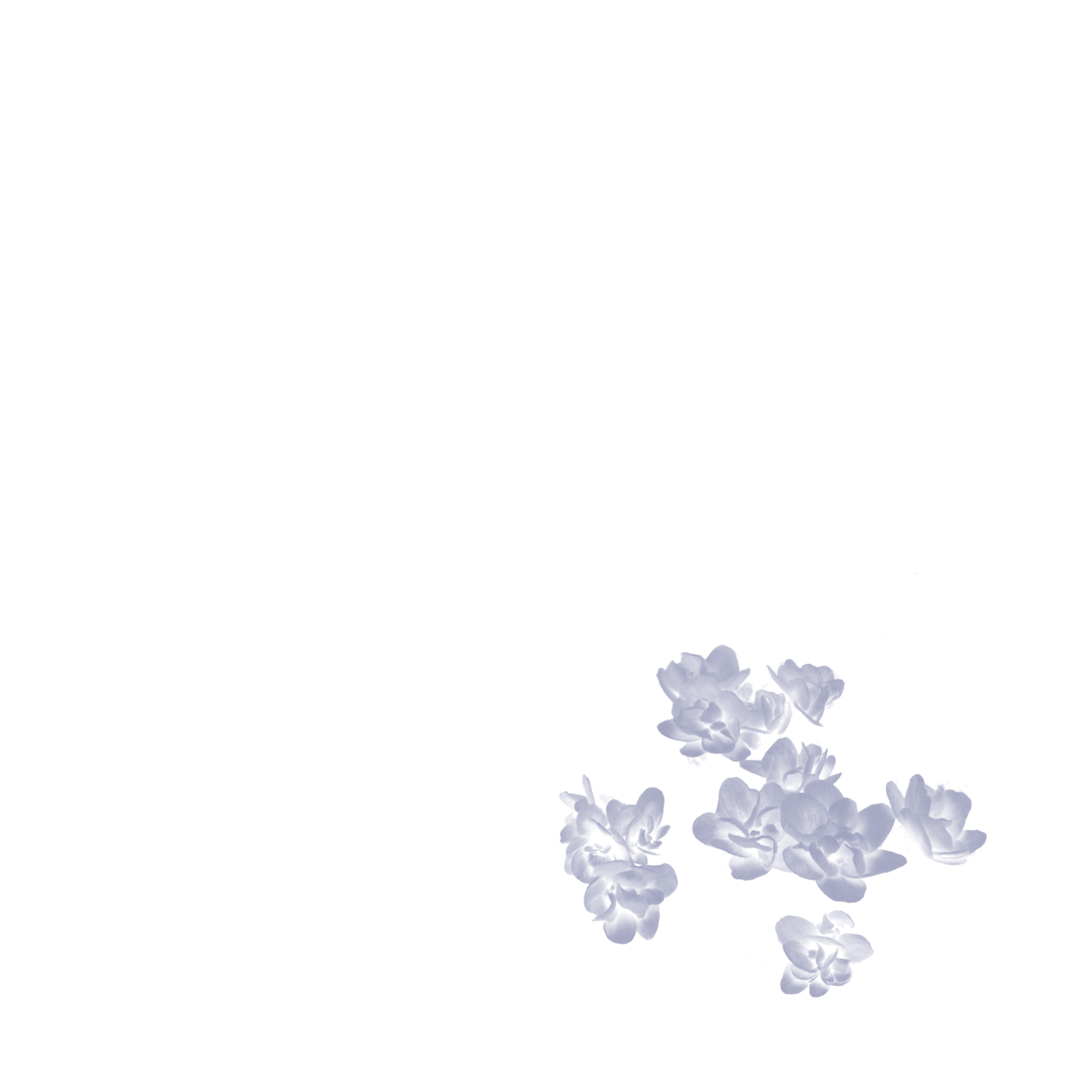 blue flowers element png illustration abstract