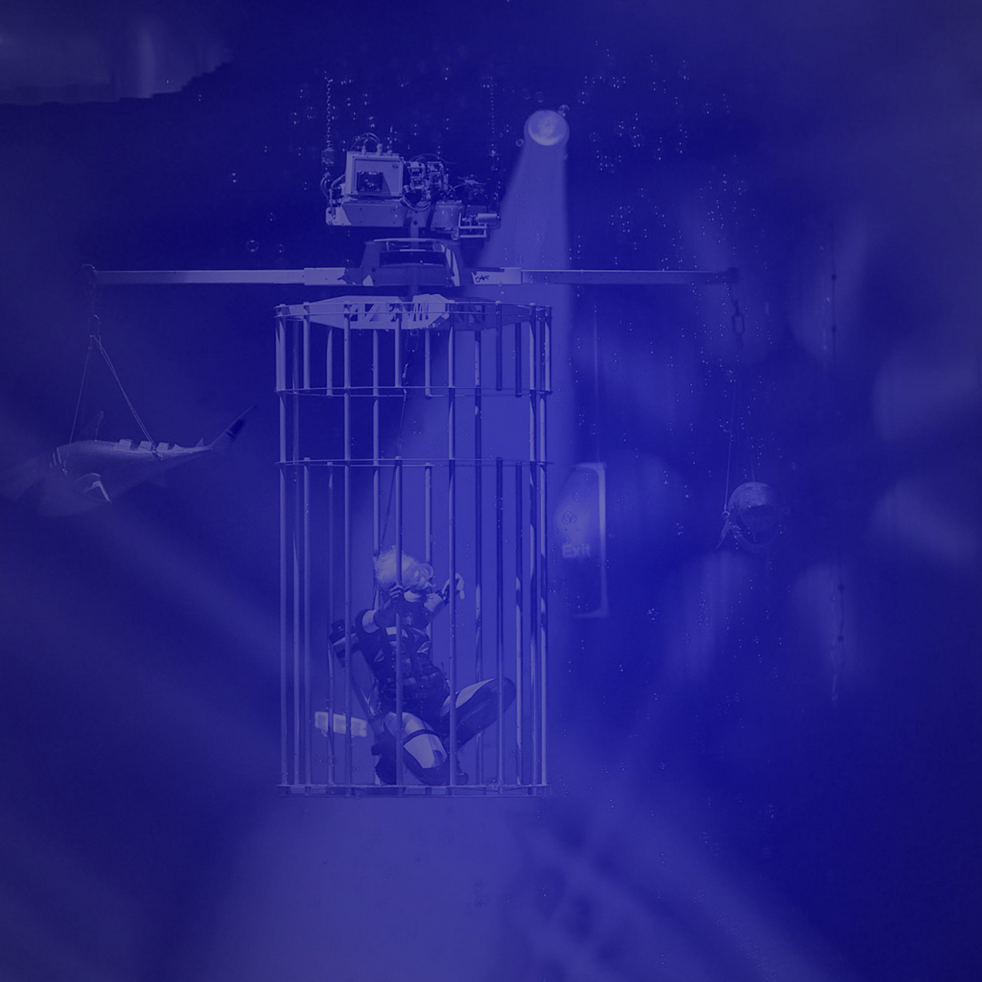 cage theatre light dancer artist shark water show blue